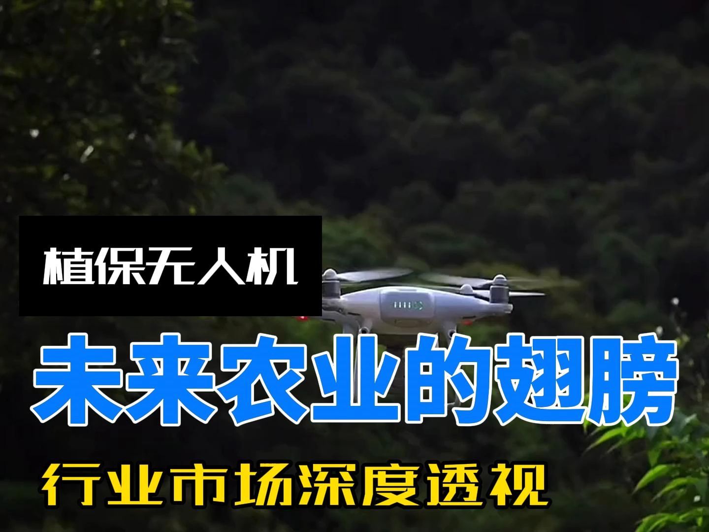 未来农业的翅膀：植保无人机行业市场深度透视