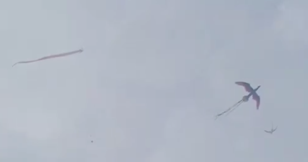 17802236256a1c0e89d331c.png